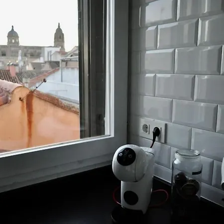 Ii Precioso Con Vistas A La Catedral サラマンカ