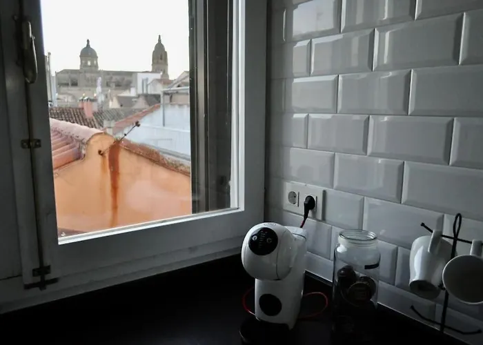 Ii Precioso Con Vistas A La Catedral サラマンカ